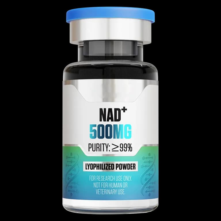NAD+ (500 mg Vial) 500 mg Vial mit lyophilisiertem Forschungspeptid